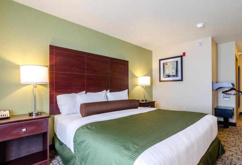 اتاق استاندارد با تخت بزرگ برای معلولان, Cobblestone Hotel & Suites   Mccook
