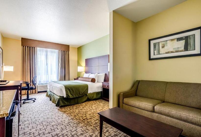 استودیوی استاندارد, Cobblestone Hotel & Suites   Mccook