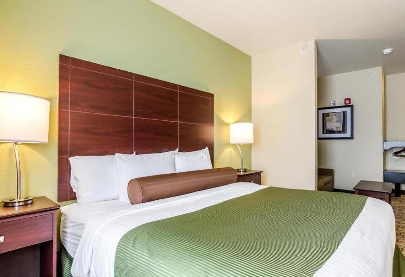 استودیوی استاندارد, Cobblestone Hotel & Suites   Mccook
