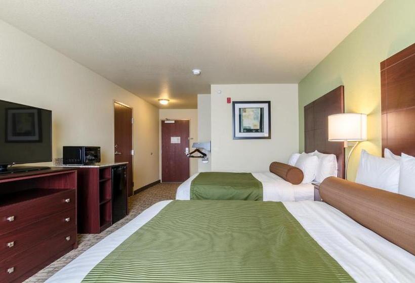 اتاق لوکس, Cobblestone Hotel & Suites   Mccook