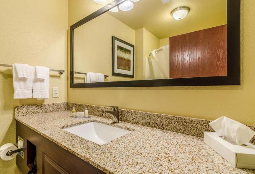 اتاق استاندارد با تخت بزرگ برای معلولان, Cobblestone Hotel & Suites   Mccook