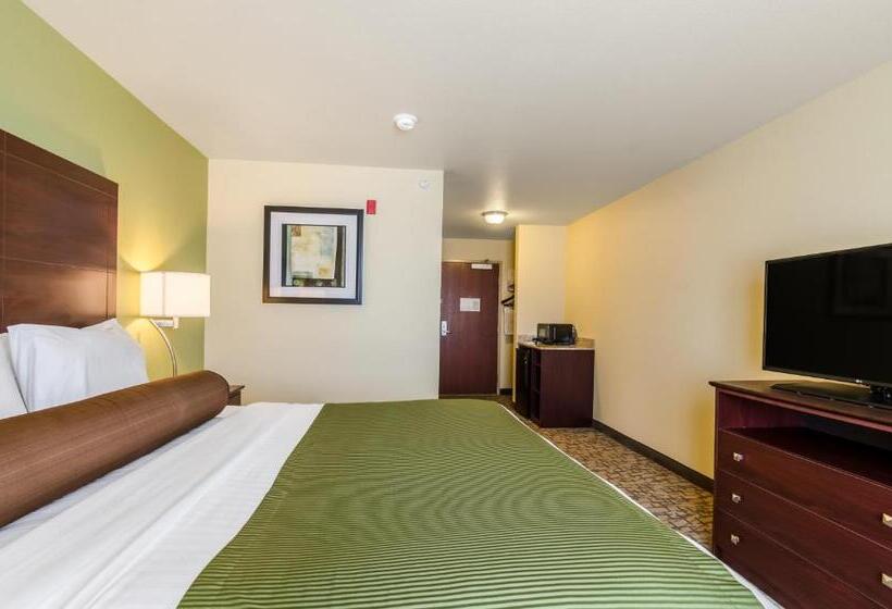 اتاق استاندارد با تخت بزرگ برای معلولان, Cobblestone Hotel & Suites   Mccook
