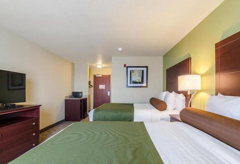 اتاق استاندارد برای معلولان, Cobblestone Hotel & Suites   Mccook