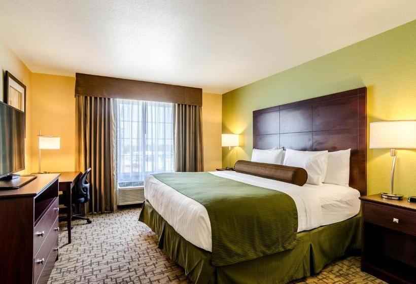 اتاق لوکس با تخت بزرگ, Cobblestone Hotel & Suites   Mccook