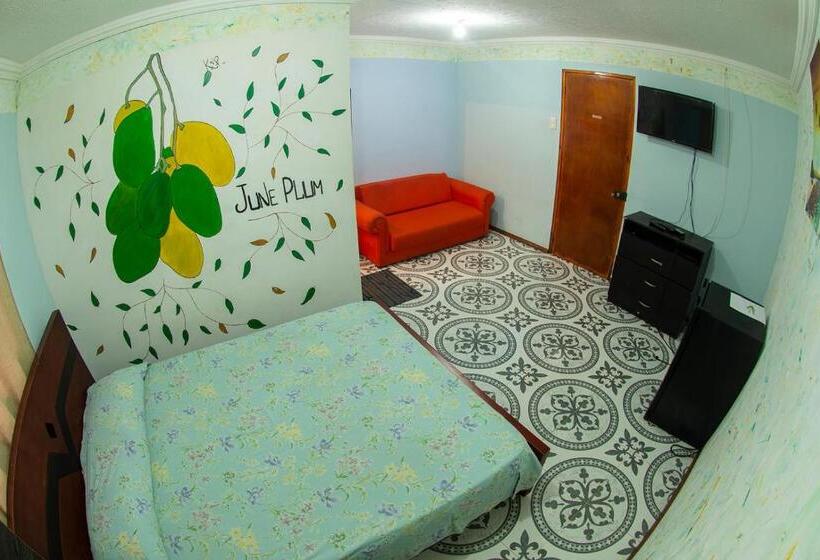 اتاق سوپریور, Posada Nativa Derma´s Inn