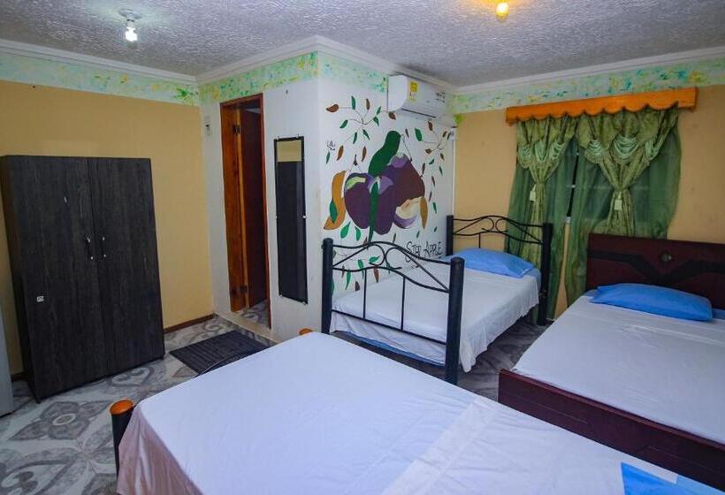 اتاق استاندارد سه نفره, Posada Nativa Derma´s Inn