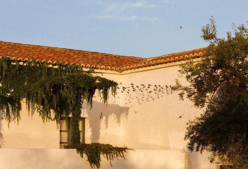 اتاق استاندارد اینتریور, São Lourenço Do Barrocal
