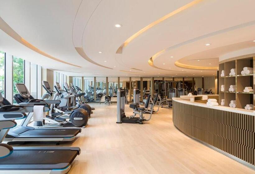 استودیوی پریمیوم, Studio City