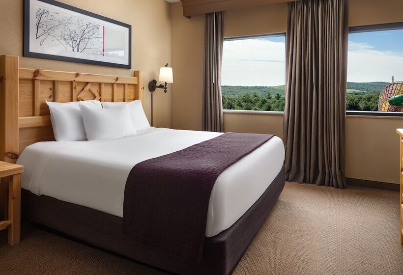 اتاق استاندارد, Great Wolf Lodge Southern California