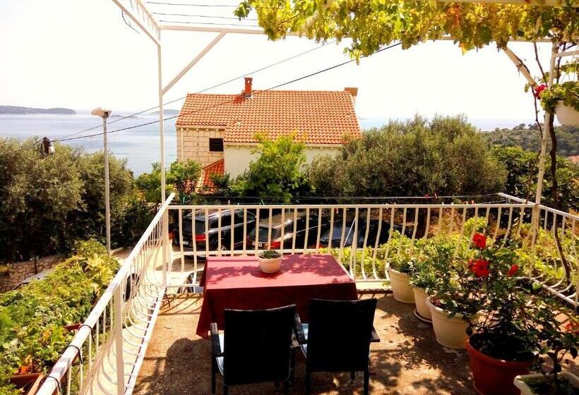 استودیوی استاندارد, Apartments Kate