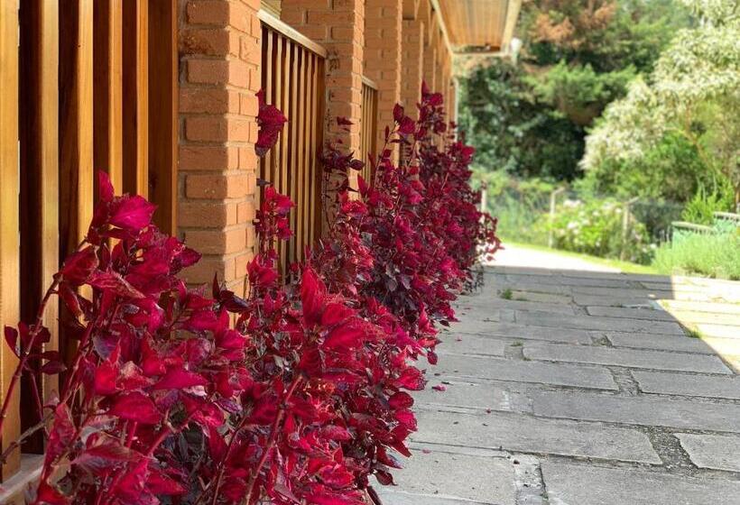 اتاق لوکس چهار تخته, Pousada Vila Floratta