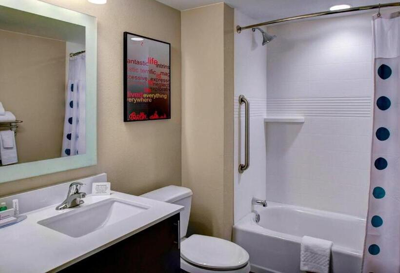 سوئیت با تخت بزرگ, Towneplace Suites By Marriott Macon Mercer University