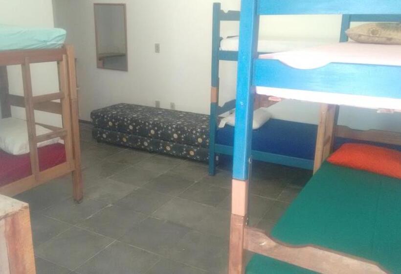 共用房间的床, Hostel Tabapiri