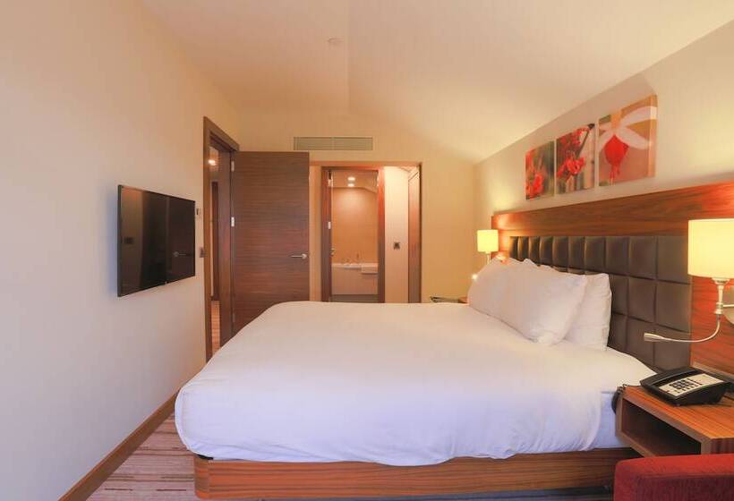 سوئیت با تخت بزرگ, Hilton Garden Inn Eskisehir