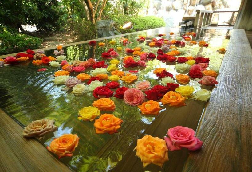 اتاق استاندارد, Misasa Onsen Misasakan