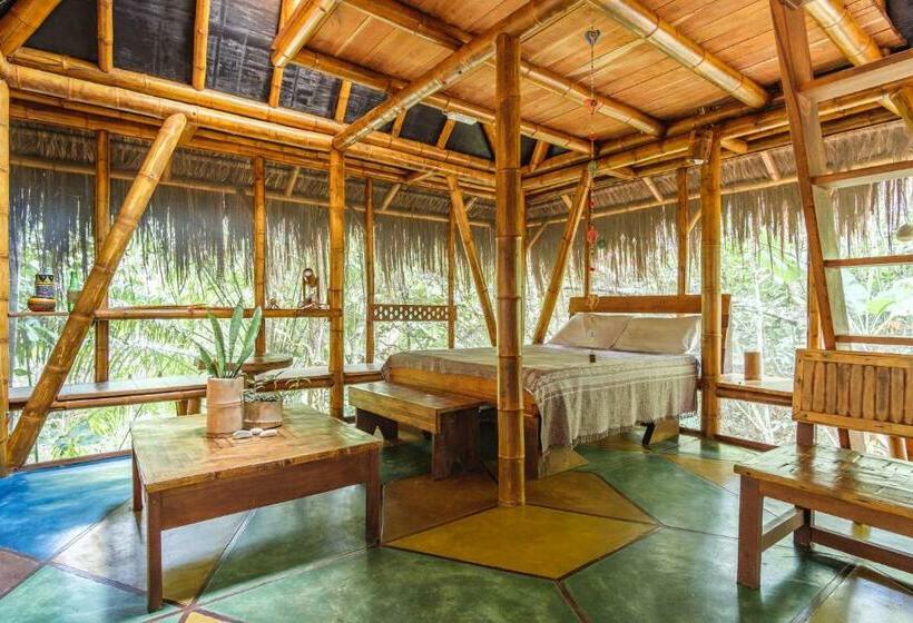 بانگلوی استاندارد, Universo Pol Bamboo Hostel