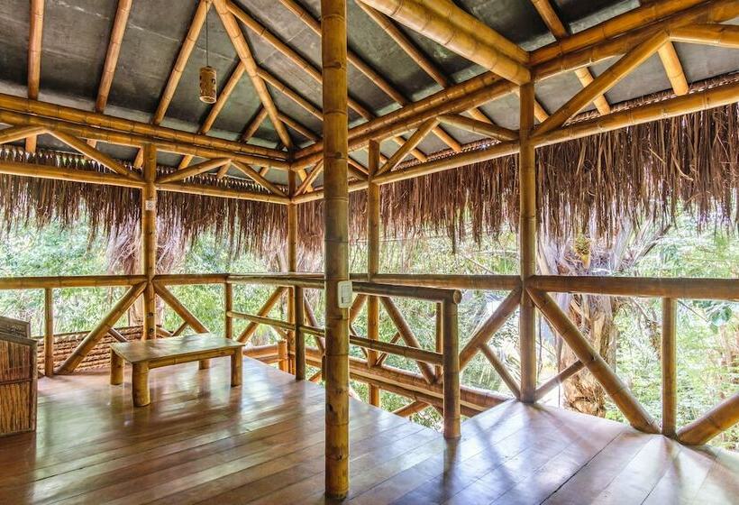 تختخواب در اتاق مشترک, Universo Pol Bamboo Hostel