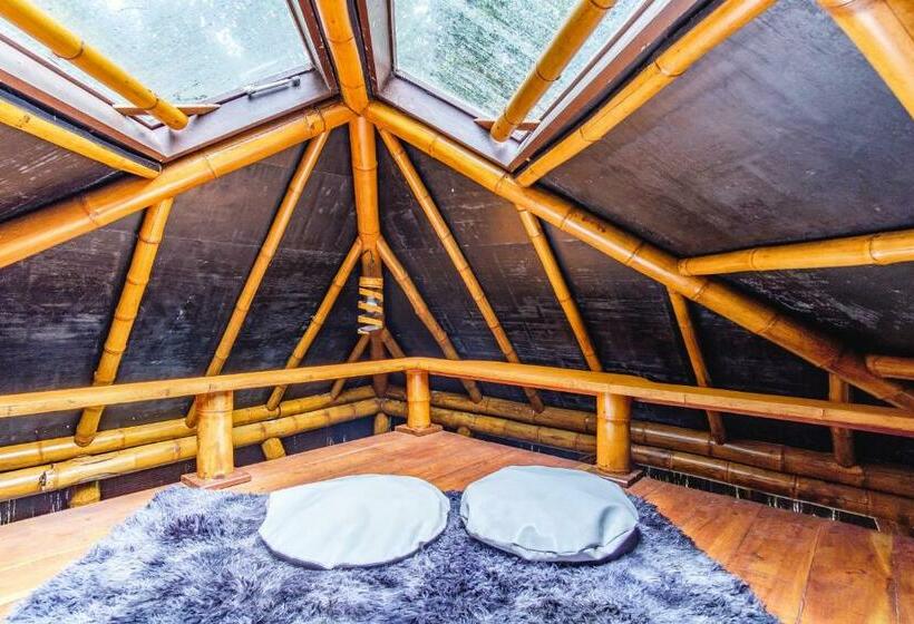 بانگلوی استاندارد, Universo Pol Bamboo Hostel