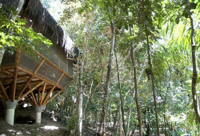 بانگلوی استاندارد, Universo Pol Bamboo Hostel