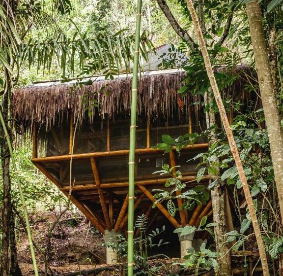 بانگلوی استاندارد, Universo Pol Bamboo Hostel