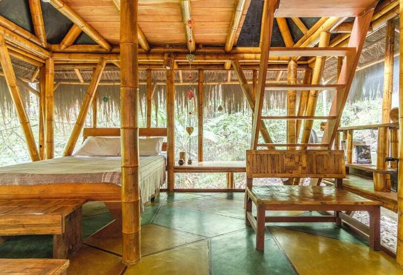 بانگلوی استاندارد, Universo Pol Bamboo Hostel