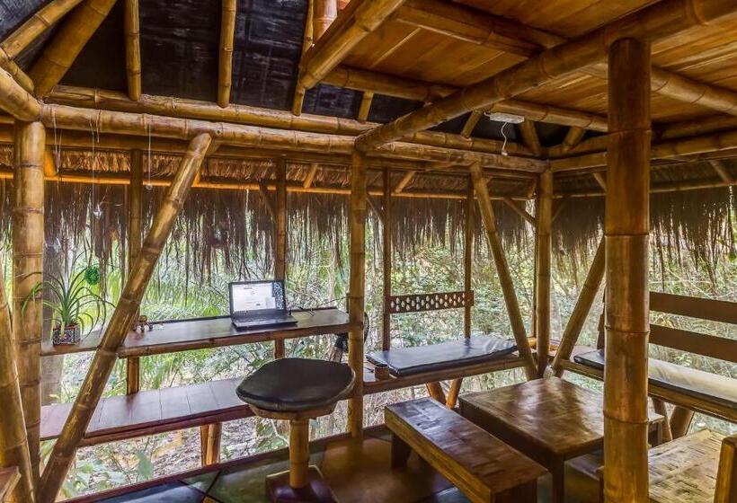 بانگلوی استاندارد, Universo Pol Bamboo Hostel