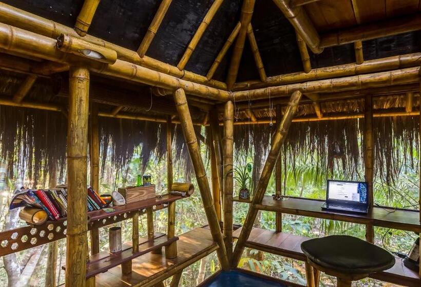 بانگلوی استاندارد, Universo Pol Bamboo Hostel