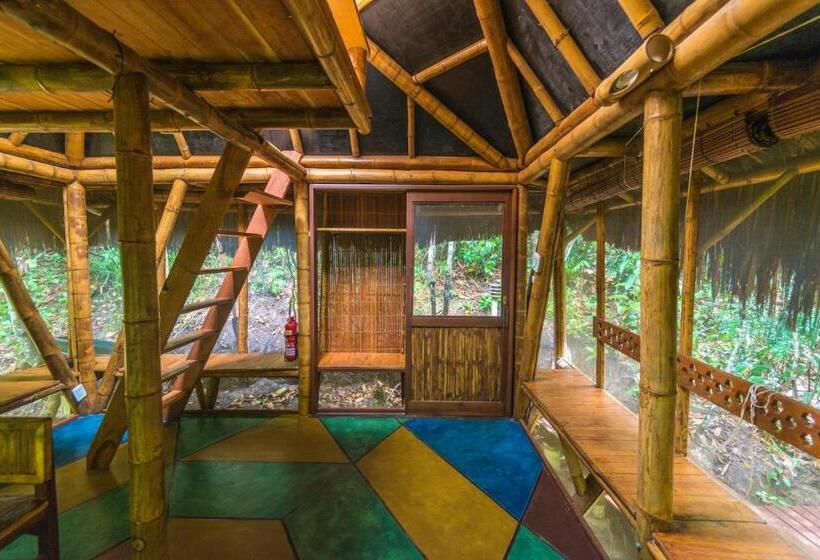 بانگلوی استاندارد, Universo Pol Bamboo Hostel