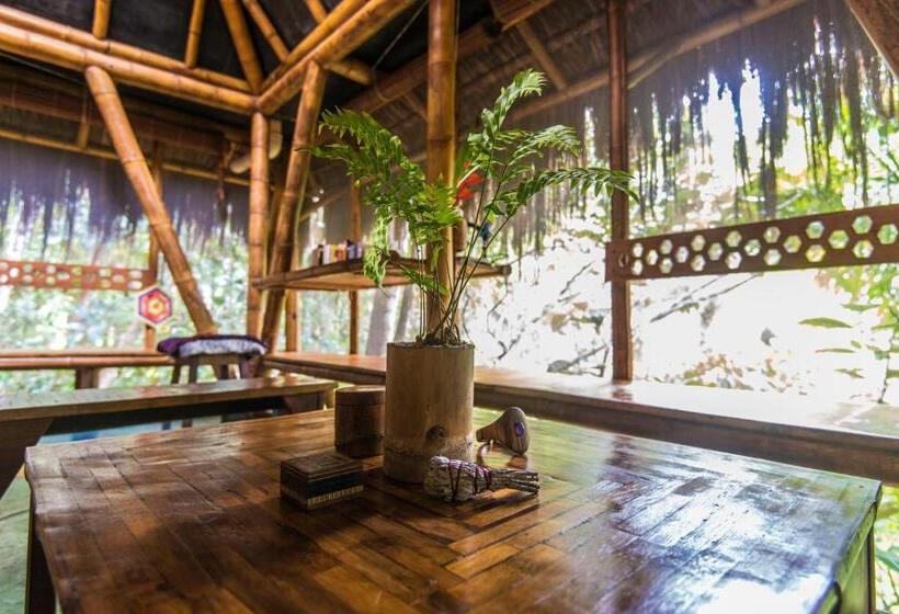 بانگلوی استاندارد, Universo Pol Bamboo Hostel