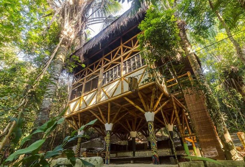 تختخواب در اتاق مشترک, Universo Pol Bamboo Hostel