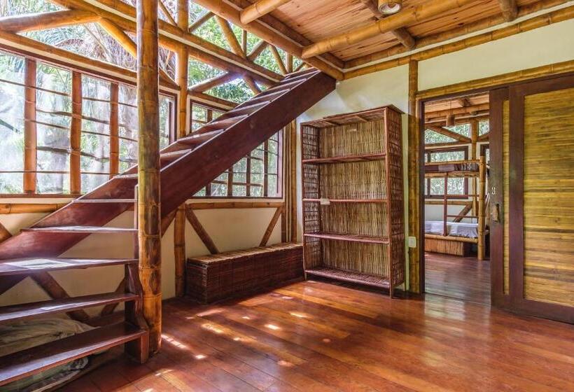 تختخواب در اتاق مشترک, Universo Pol Bamboo Hostel