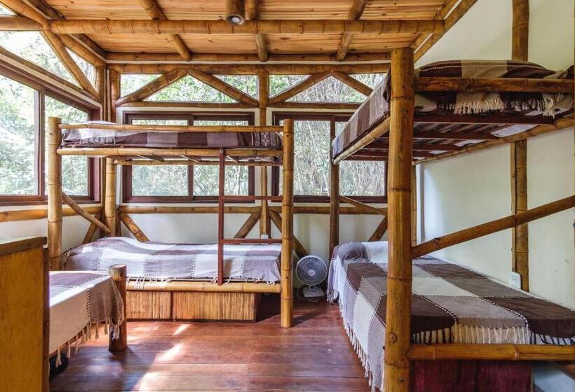 تختخواب در اتاق مشترک, Universo Pol Bamboo Hostel