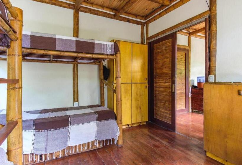 تختخواب در اتاق مشترک, Universo Pol Bamboo Hostel