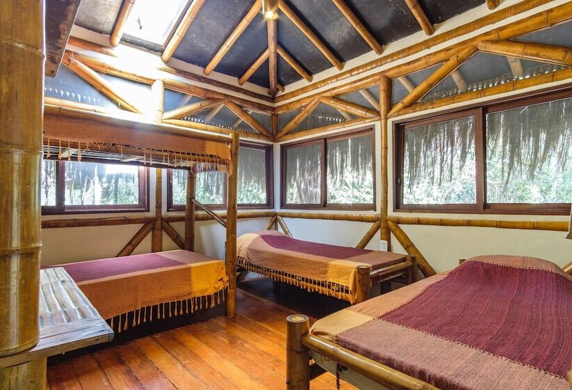 تختخواب در اتاق مشترک, Universo Pol Bamboo Hostel