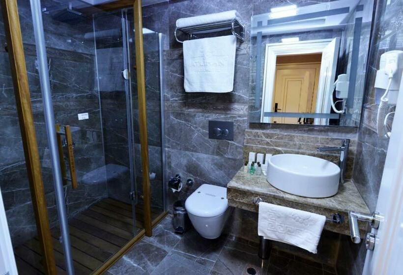 اتاق استاندارد, Atlıhanpark