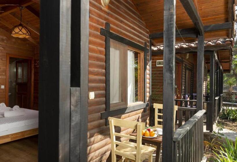 بانگلوی استاندارد, Koala Bungalows