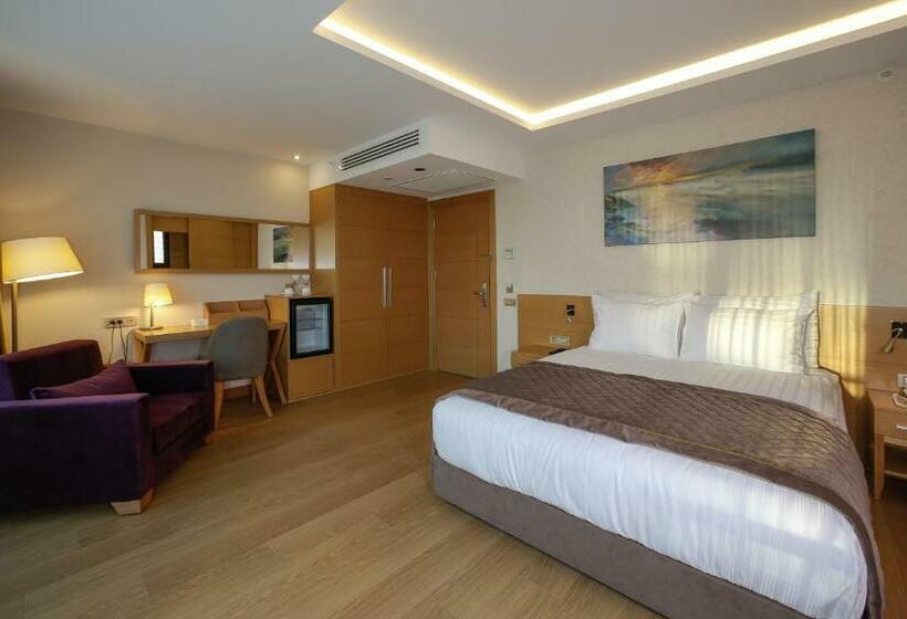 اتاق استاندارد برای معلولان, Ramada By Wyndham Bursa Cekirge Thermal & Spa