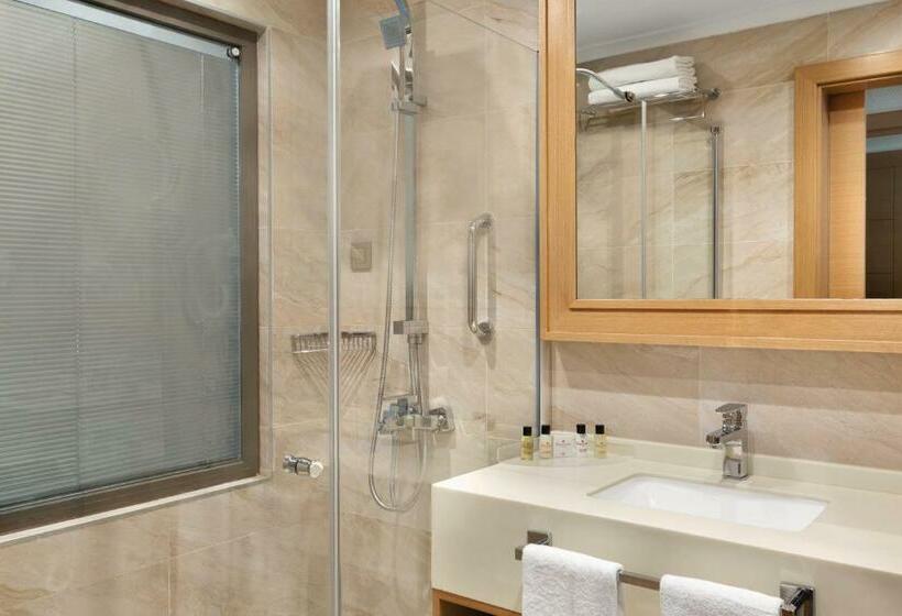 اتاق استاندارد, Ramada By Wyndham Bursa Cekirge Thermal & Spa