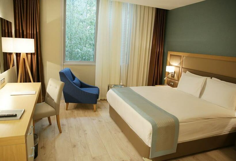 اتاق استاندارد, The Ankara