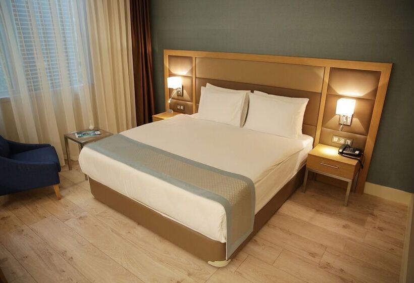 اتاق استاندارد, The Ankara