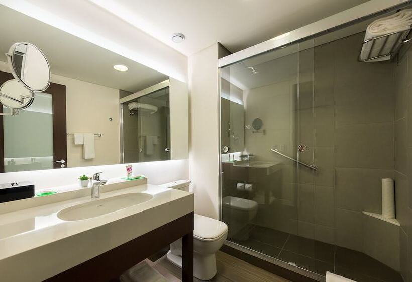 اتاق استاندارد با تخت بزرگ, Hyatt Place Sao Jose Do Rio Preto