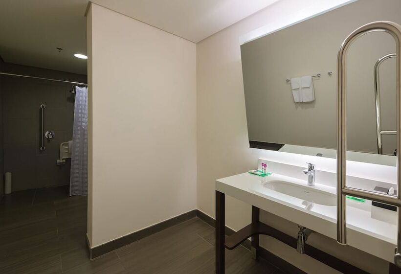 اتاق استاندارد برای معلولان, Hyatt Place Sao Jose Do Rio Preto