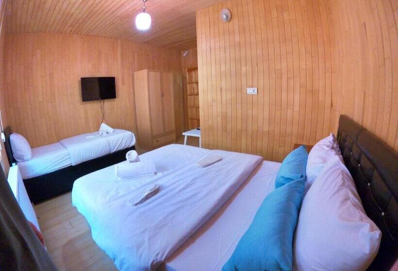 اتاق استاندارد, Danis Motel