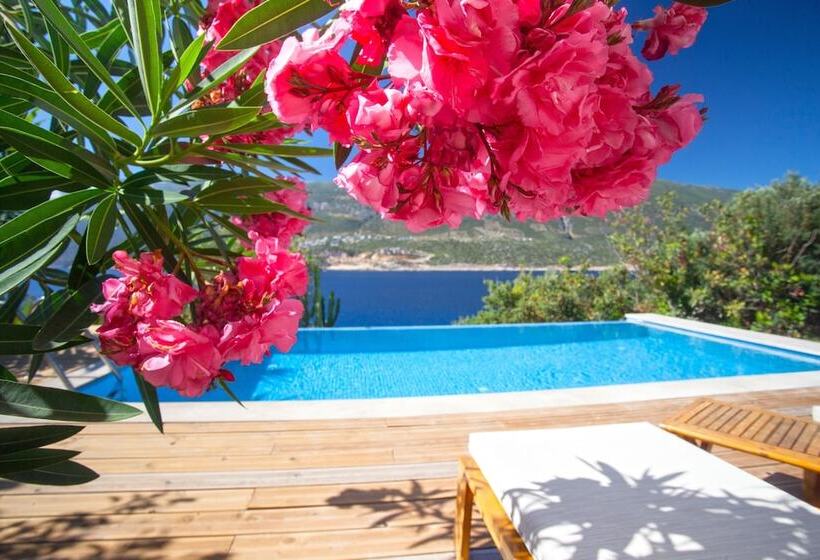 اتاق لوکس, Mekvin Hotels Deniz Feneri Lighthouse