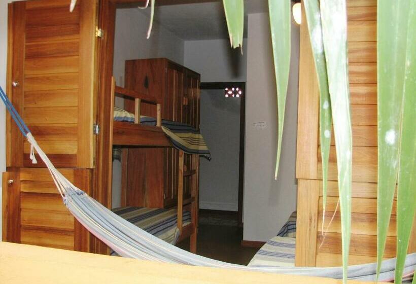 اتاق استاندارد چهار تخته, O Pharol Hostel E Pousada