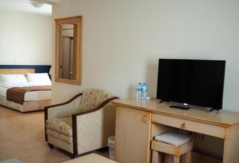 اتاق استاندارد سه نفره, Oya Butik Otel