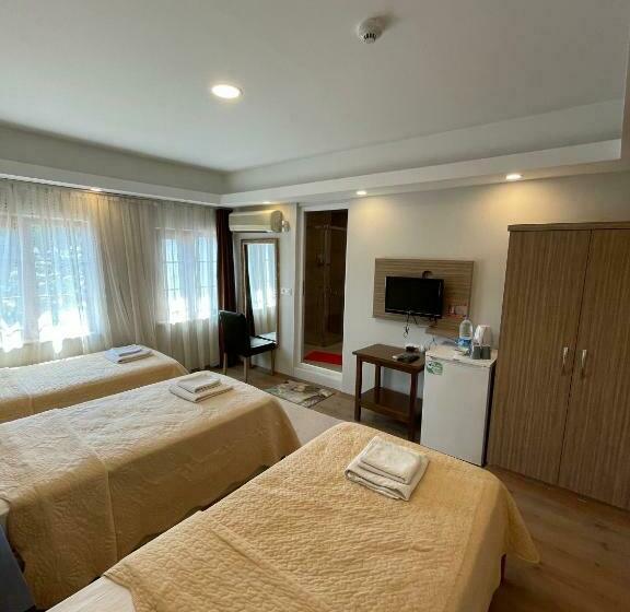 اتاق استاندارد سه نفره, Alida Hotel Pamukkale