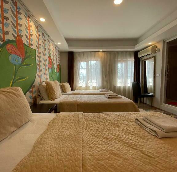 اتاق استاندارد سه نفره, Alida Hotel Pamukkale
