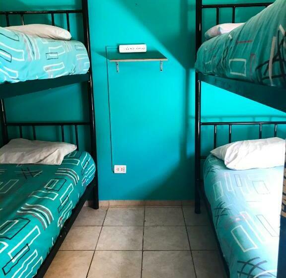 اتاق استاندارد چهارنفره با سرویس بهداشتی مشترک, Hostel Punto Patagonico
