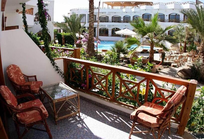 اتاق سوپریور با چشم‌انداز باغ, Planet Oasis
